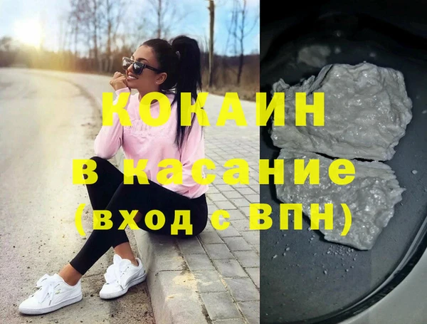 индика Абинск