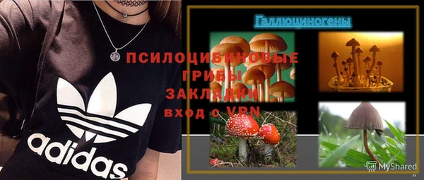 индика Абинск